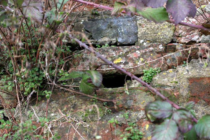 Habitat at Farnham Castle